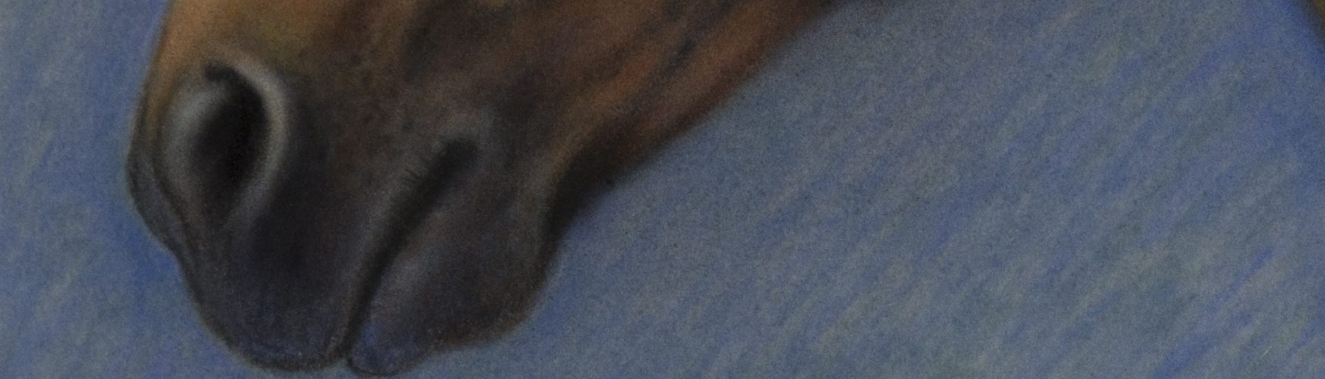 Pastell