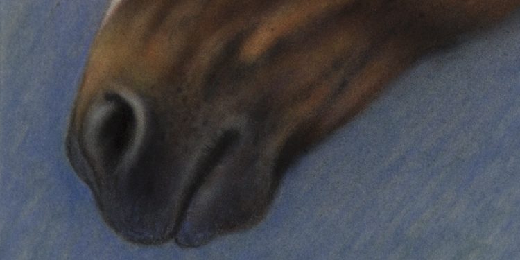 Pastell